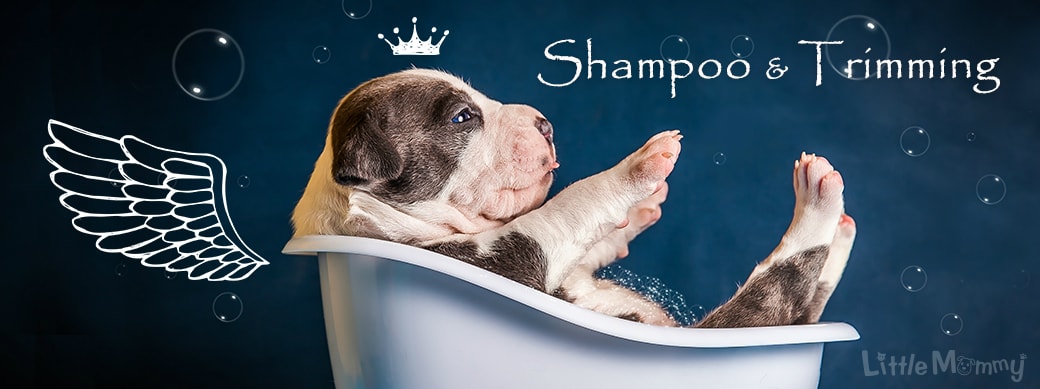 リトルマミー　トリミングの流れ