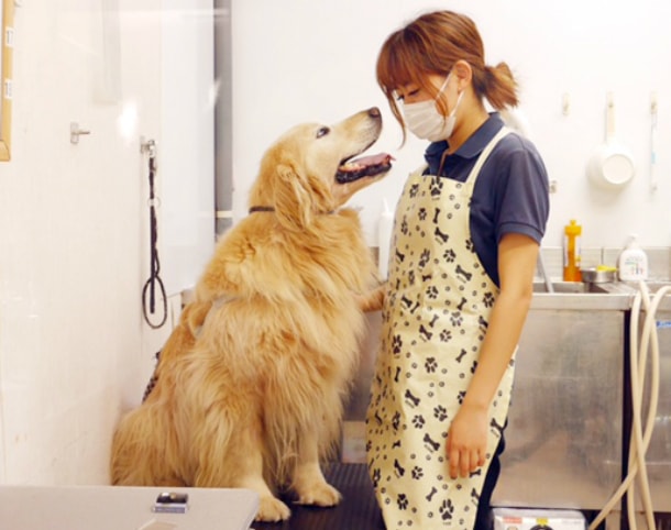 スタッフと仲良しわんちゃん