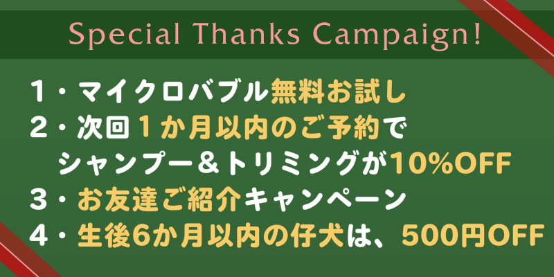 リトルマミーの各種キャンペーン　トリミング割引など