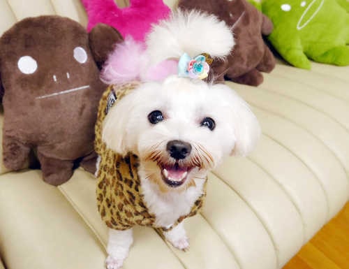 仕上げのリボンスタイル