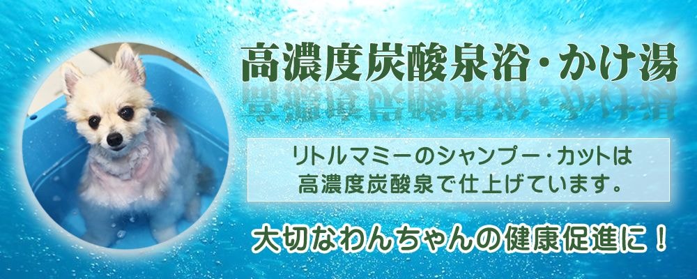 リトルマミーの高濃度炭酸泉・ソーダスパ