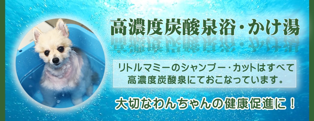 リトルマミーの高濃度炭酸泉浴・ソーダスパ